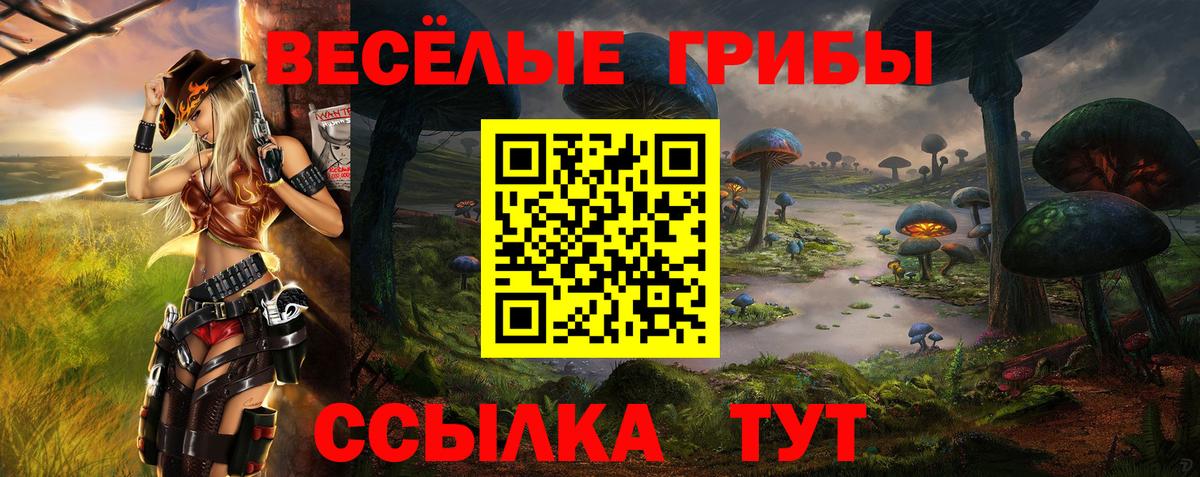 Псилоцибиновые грибы ЛСД  Галлюциногенные грибы Magic Shrooms  Звенигород  Вход с VPN 